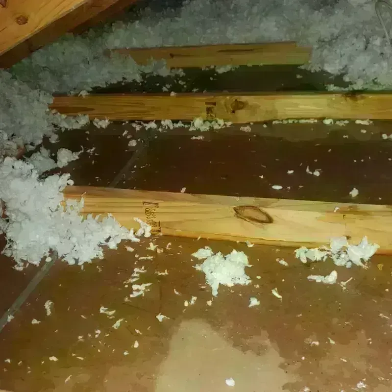 Attic Water Damage in Castle Pines, CO