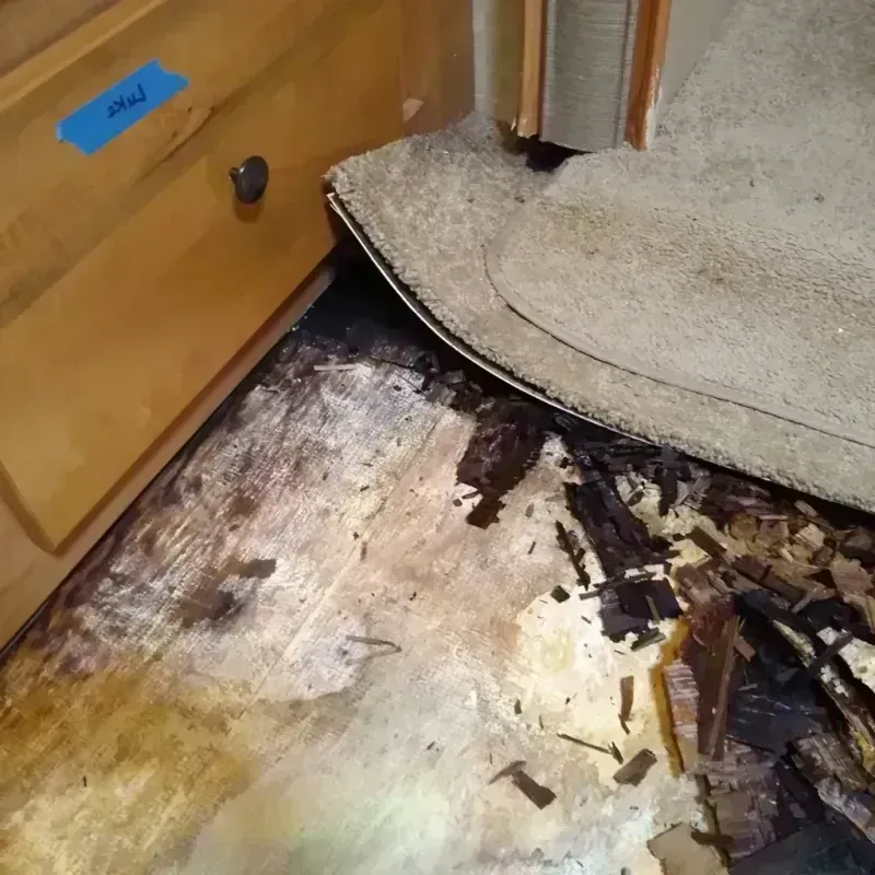 Wood Floor Water Damage in Castle Pines, CO